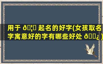 用于 🦊 起名的好字(女孩取名字寓意好的字有哪些好处 🌿 )